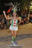 lbum de fotos carnaval de Alvear 2016