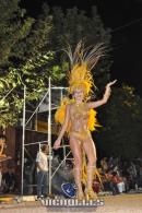 lbum de fotos carnaval de Alvear 2016