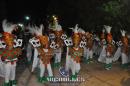 lbum de fotos carnaval de Alvear 2016