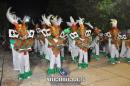 lbum de fotos carnaval de Alvear 2016