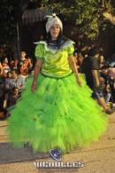 lbum de fotos carnaval de Alvear 2016