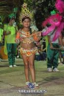 lbum de fotos carnaval de Alvear 2016