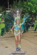 lbum de fotos carnaval de Alvear 2016