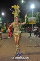lbum de fotos carnaval de Alvear 2016