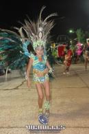 lbum de fotos carnaval de Alvear 2016