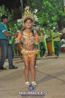 lbum de fotos carnaval de Alvear 2016