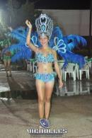 lbum de fotos carnaval de Alvear 2016