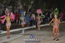 lbum de fotos carnaval de Alvear 2016