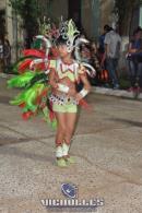 lbum de fotos carnaval de Alvear 2016