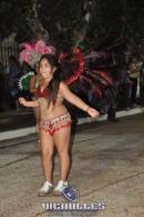 lbum de fotos carnaval de Alvear 2016