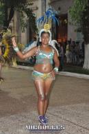 lbum de fotos carnaval de Alvear 2016