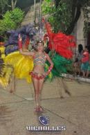 lbum de fotos carnaval de Alvear 2016