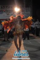 Desfile de las Comparsas del grupo "B"