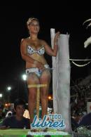 Desfile de las Comparsas del grupo "B"