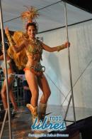 Desfile de las comparsas de la "B" en la segunda noche de corsos oficiales