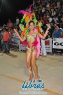 Desfile de las comparsas del grupo "B" en la tercer noche