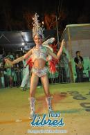 Desfile de Asociacin Escuelas de Samba Tradicin desfilando por tercer vez en el carnaval 2013