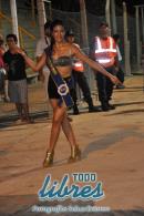 Ensayo tcnico