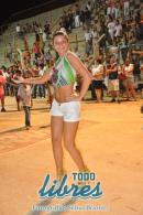 Ensayo tcnico