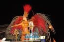 lbum de fotos caravana Carumb Campeona carnaval 2014