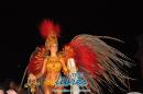 lbum de fotos caravana Carumb Campeona carnaval 2014