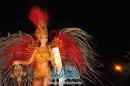 lbum de fotos caravana Carumb Campeona carnaval 2014