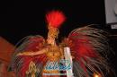lbum de fotos caravana Carumb Campeona carnaval 2014