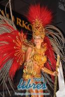 lbum de fotos caravana Carumb Campeona carnaval 2014