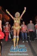 lbum de fotos caravana Carumb Campeona carnaval 2014