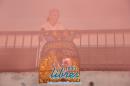 lbum de fotos caravana Carumb Campeona carnaval 2014