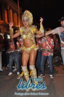 lbum de fotos caravana Carumb Campeona carnaval 2014