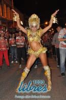 lbum de fotos caravana Carumb Campeona carnaval 2014