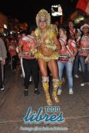 lbum de fotos caravana Carumb Campeona carnaval 2014