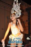 lbum de fotos caravana Carumb Campeona carnaval 2014