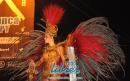 lbum de fotos caravana Carumb Campeona carnaval 2014