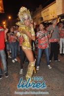 lbum de fotos caravana Carumb Campeona carnaval 2014