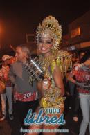 lbum de fotos caravana Carumb Campeona carnaval 2014