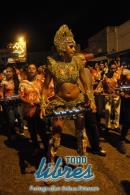 lbum de fotos caravana Carumb Campeona carnaval 2014