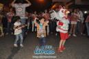 lbum de fotos caravana Carumb Campeona carnaval 2014
