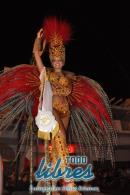 lbum de fotos caravana Carumb Campeona carnaval 2014