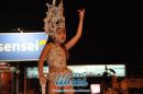lbum de fotos caravana Carumb Campeona carnaval 2014