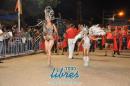 lbum de fotos de la primer noche de corso popular