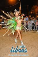 lbum de fotos de la primer noche de corso popular