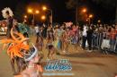 lbum de fotos de la primer noche de corso popular
