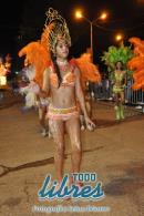 lbum de fotos de la primer noche de corso popular