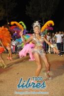 lbum de fotos de la primer noche de corso popular