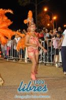 lbum de fotos de la primer noche de corso popular