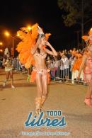 lbum de fotos de la primer noche de corso popular