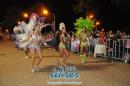 lbum de fotos de la primer noche de corso popular