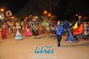 lbum de fotos de la primer noche de corso popular